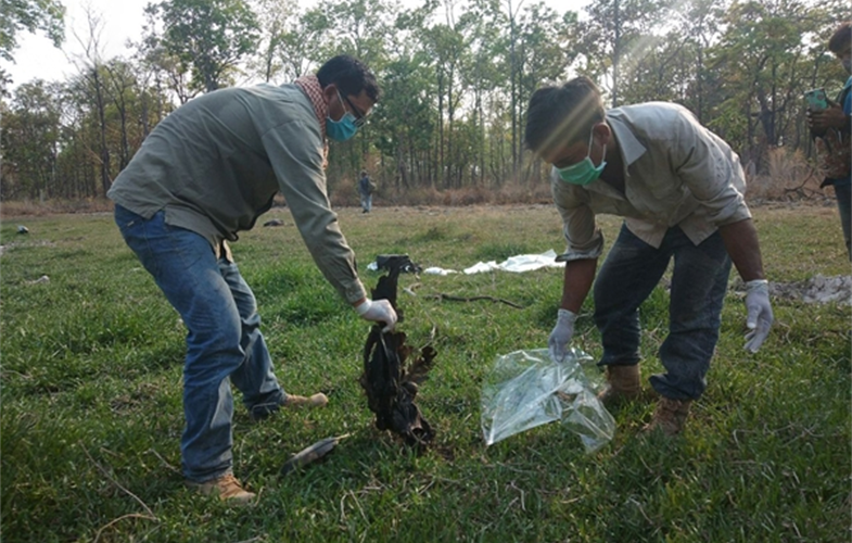 Community rangers disposing of a dead Giant Ibis CREDIT: WCS